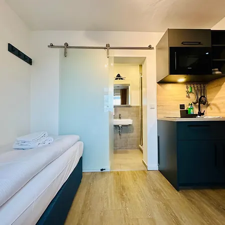 Homaris Laim München