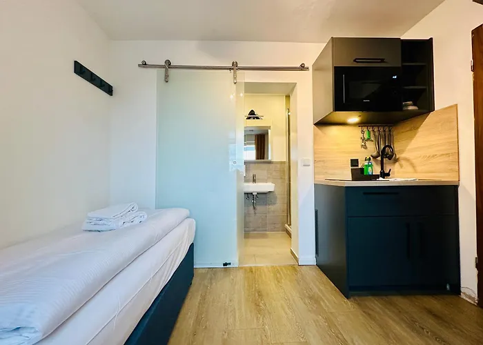 Homaris Laim München